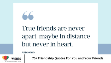 75+ Friendship Quotes For You and Your Friends